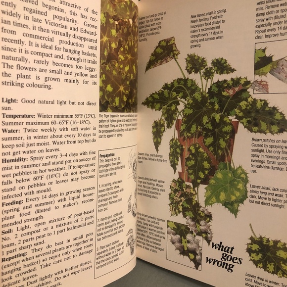 The Instant Guide to Healthy Foilage Houseplants Volume II David Longman Book - Picture 5 of 7